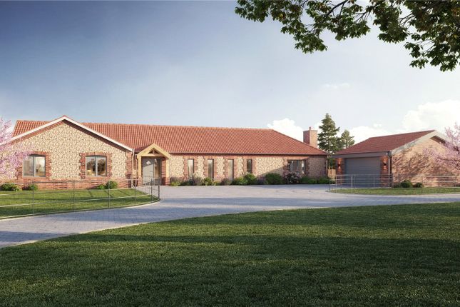Thumbnail Bungalow for sale in Plot 3, The Street, Rockland All Saints, Attleborough, Norfolk