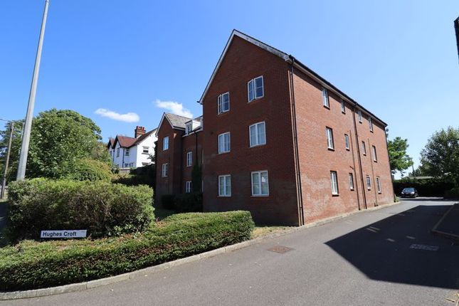 Rear Aspect