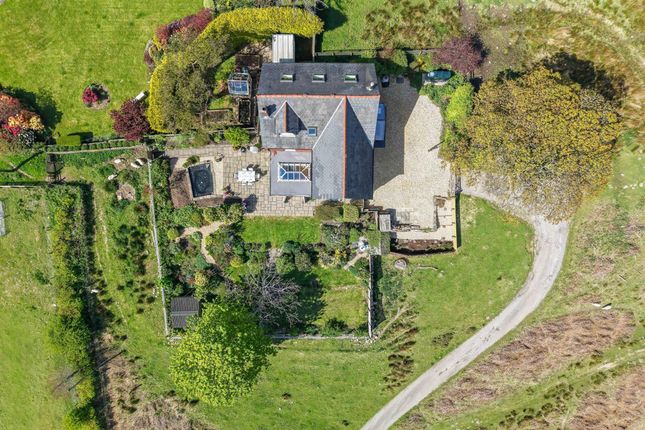 Birds Eye View