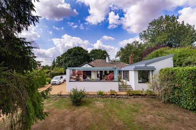 Detached bungalow for sale in Mill Street, Hastingwood, Harlow