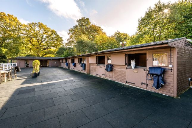 Stables