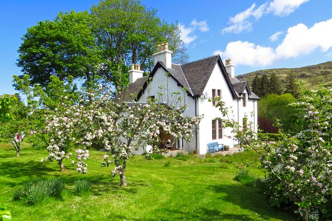 Glenmore House , Glenmore House , Acharacle photo 3