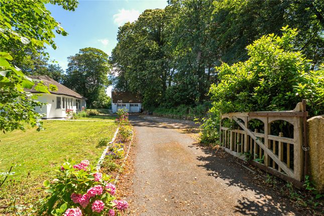 Chy-An-Coose,, Holman Park, Cornwall photo 2