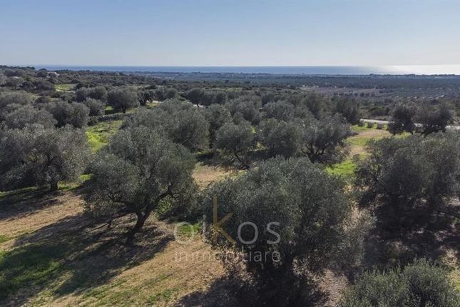 Land for sale in Manduria, Puglia, 74024, Italy
