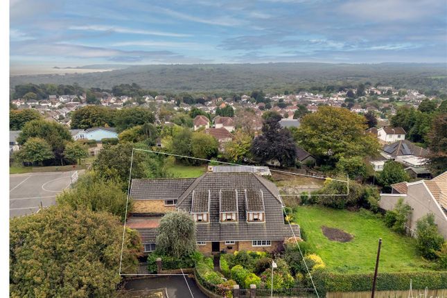 Untitled Design (1).Png