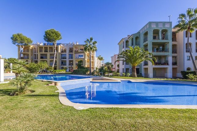 Apartment for sale in Spain, Mallorca, Calvià, Nova Santa Ponsa