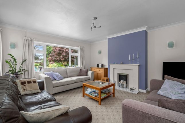 494, Ringwood Road, Dorset photo 2