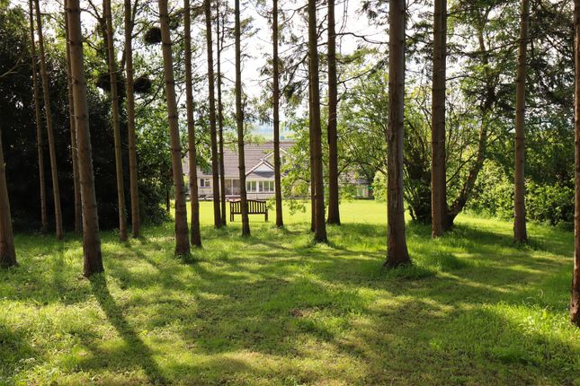 Hazelcroft. 121, Clevedon Road, Tickenham photo 3