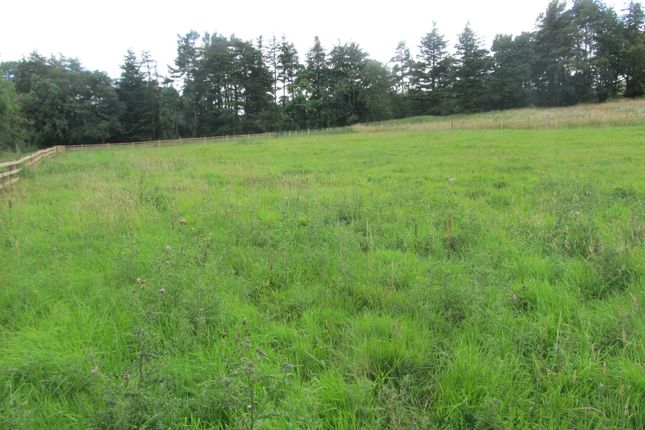 Land for sale in Yetholm, Kelso
