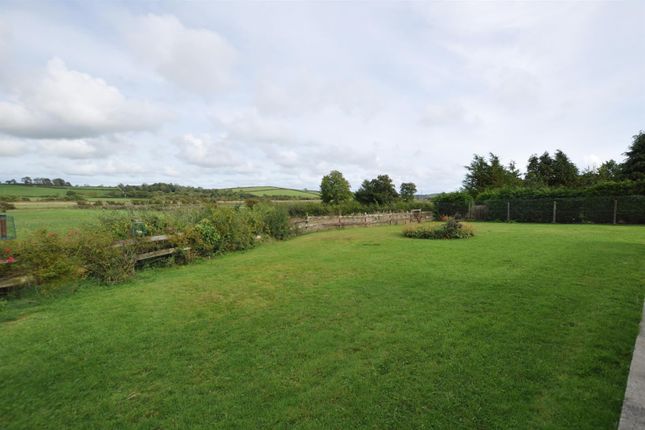 Springmead Farm, St. Clears photo 3