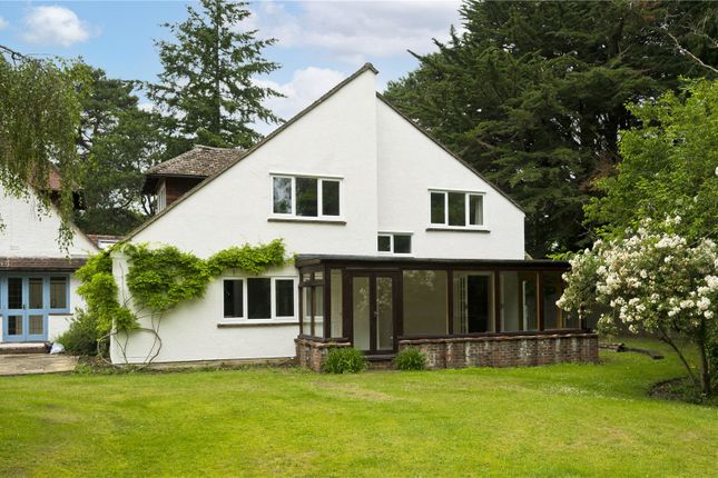 Thumbnail Semi-detached house to rent in Gong Hill Drive, Lower Bourne, Farnham, Surrey