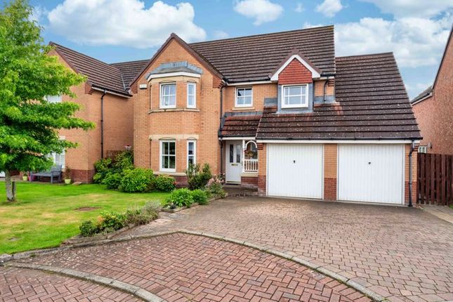 Thumbnail Detached house for sale in Turpie Drive, Larbert