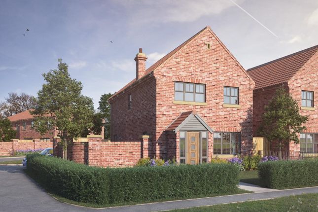 Brandesburton Htb Hr.Jpg