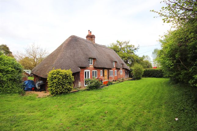 Cottage to rent in Upper Street, Breamore, Fordingbridge