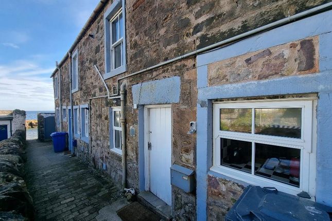 Thumbnail Property to rent in George Street, Cellardyke, Anstruther