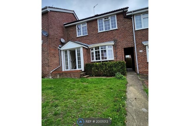 Terraced house to rent in Magnolia Drive, Colchester Essex