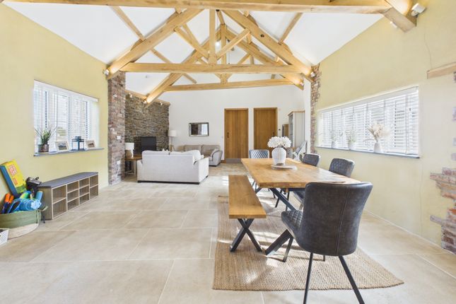 Lodgeworthy Farm, Holsworthy photo 4