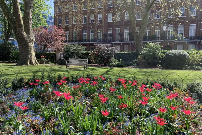 Nevern Square, London photo 2