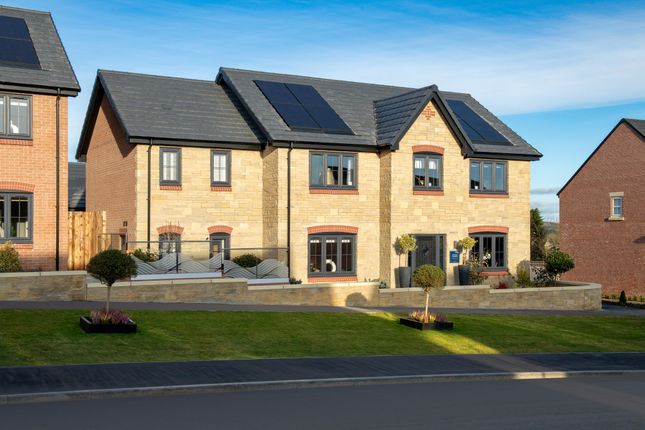 Showhome Photography