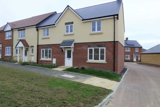 Bed House To Rent Weymouth Bed House To Rent Weymouth