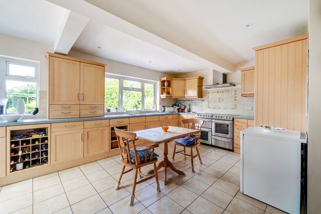 Achillea,, Heathway, East Horsley photo 4