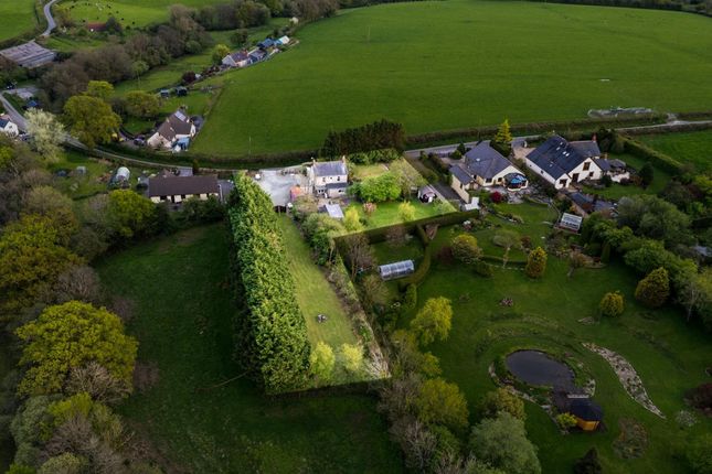 Plas Y Cerrig, Whitland photo 4