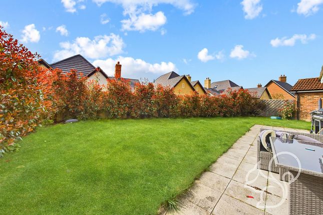 Detached bungalow for sale in Catkin Mews, Colchester