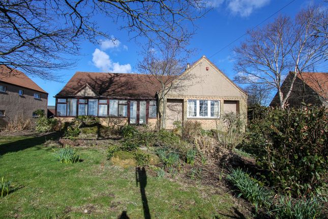 Thumbnail Detached bungalow for sale in Foulden Village, Foulden, Berwick-Upon-Tweed