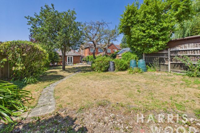 52 Mile End Road, Colchester, Essex photo 4
