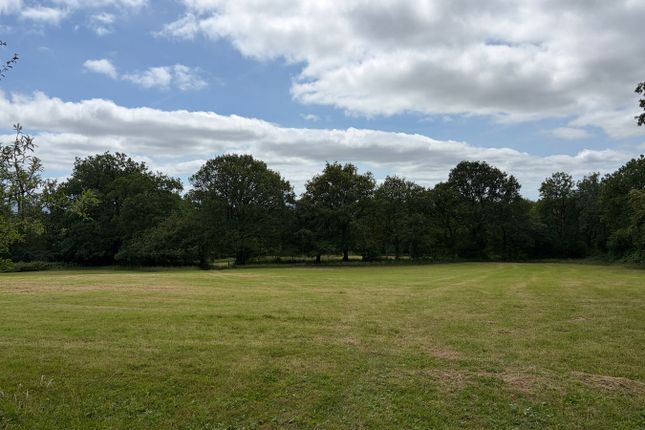 Cwmllife, Llansadwrn, Llanwrda photo 2