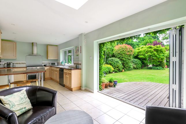 59 Orchard Drive, Horsell, Woking photo 4