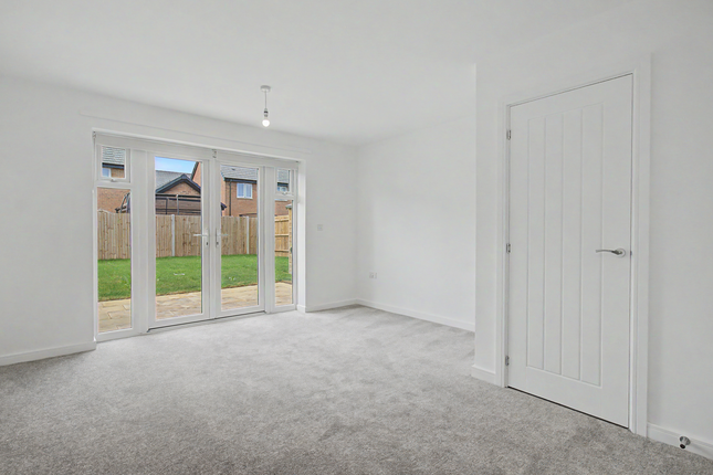 20, Herne Bay photo 3