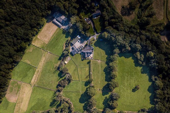 Dji_0570.Jpg