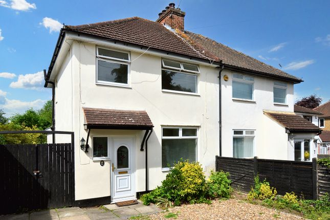 Thumbnail Semi-detached house to rent in Radlett Road, St Albans