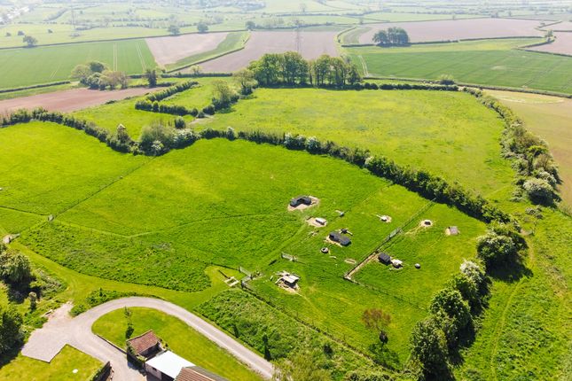 Paddocks