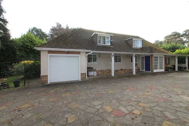 Dorset Bungalows For Sale Buy Houses In Dorset Primelocation