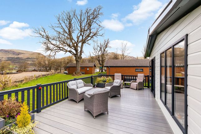 Moonlit Lodge, The Woods Caravan Park, Clackmannanshire photo 3