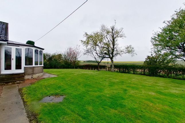 Detached bungalow to rent in The Birches, Foveran