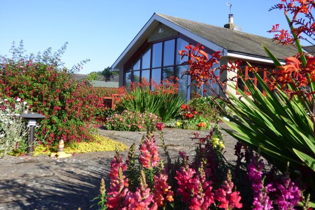 Thumbnail Detached bungalow for sale in Church Fields, Thropton, Morpeth, Northumberland