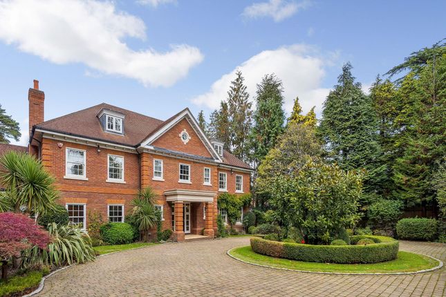 Thumbnail Detached house for sale in Larch Avenue, Ascot, Berkshire