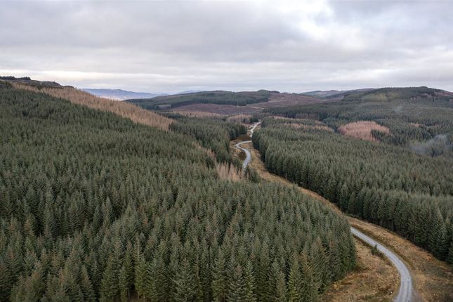 Thumbnail Land for sale in Lot 2 Moness Forest, Aberfeldy, Perthshire