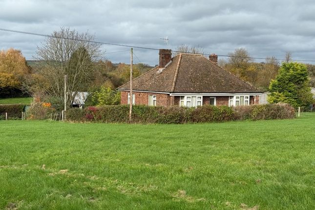 Rose Farm Bungalow, Hurdcott Lane, Salisbury photo 4