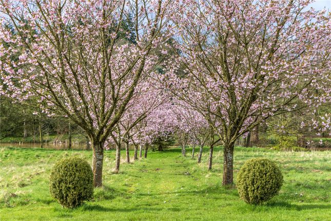 Gardens