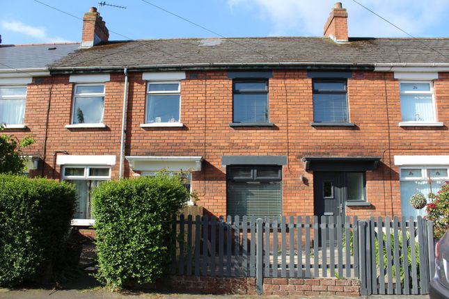 Thumbnail Terraced house to rent in Sandbrook Park, Belfast, County Antrim