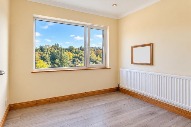 Deeds Grove, High Wycombe photo 5