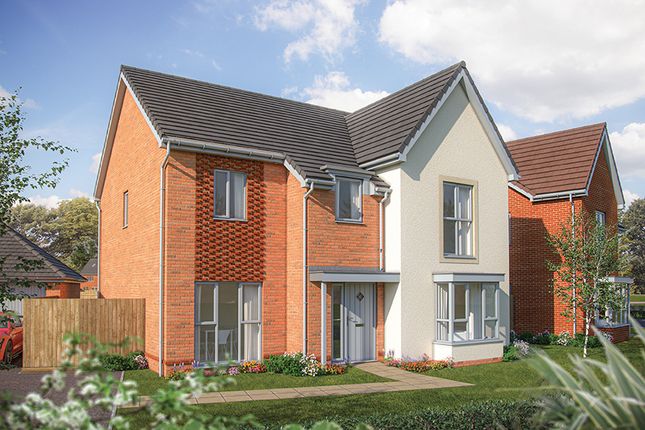 Thumbnail Detached house for sale in "The Birch" at Colchester Road, Coggeshall, Colchester