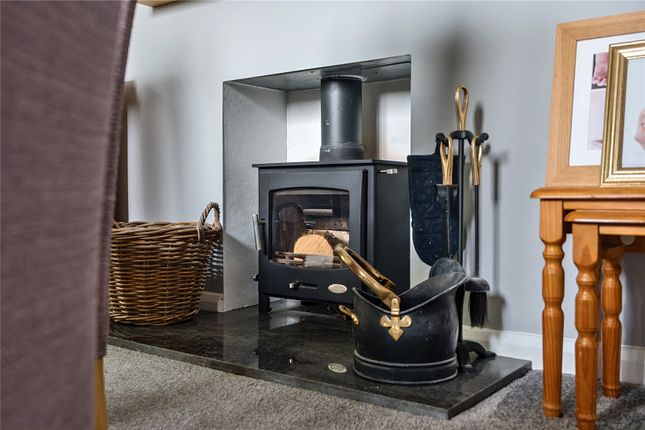 Wood Burning Stove