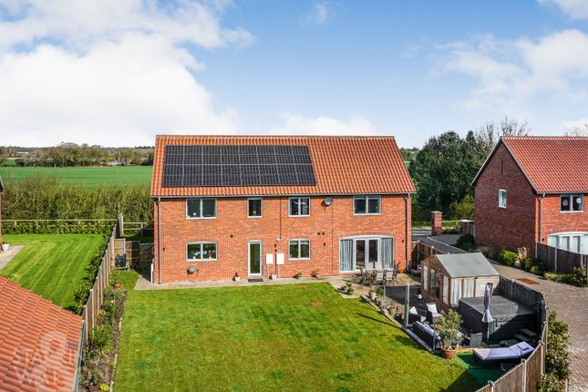 Thumbnail Detached house for sale in Neve Loke, Hemblington, Norwich