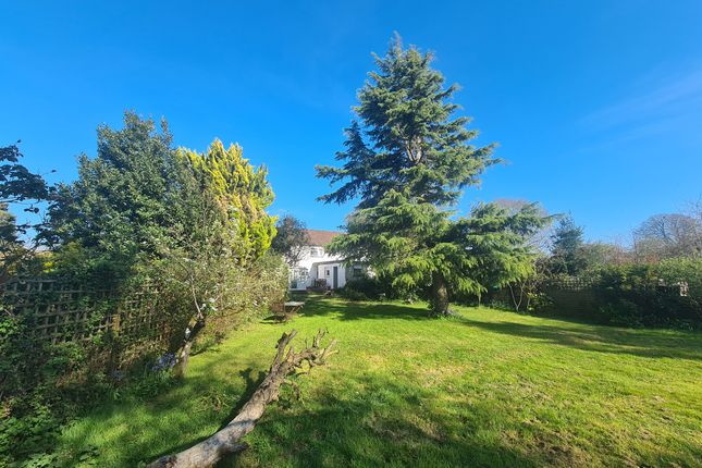 10, Chalwell, Blandford Forum photo 3