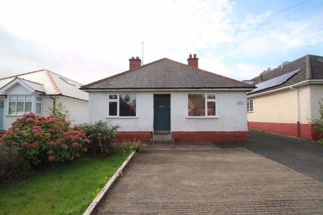 Thumbnail Bungalow to rent in Kings Acre Road, Hereford